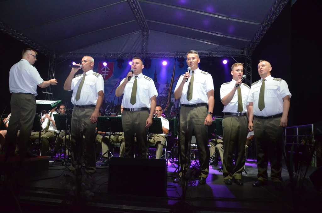 Jarmark Sapieżyński - Wdzięczni za obronę granic. foto. Gwalbert Krzewicki Radio Biper 